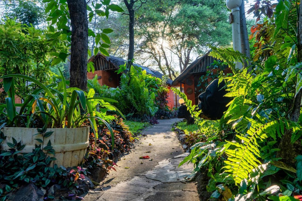 Victoria Falls Backpackers Lodge Exteriör bild