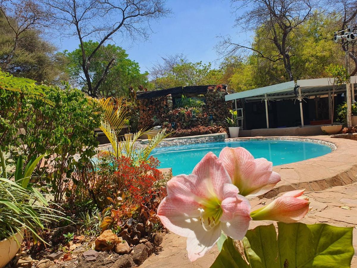 Victoria Falls Backpackers Lodge Exteriör bild