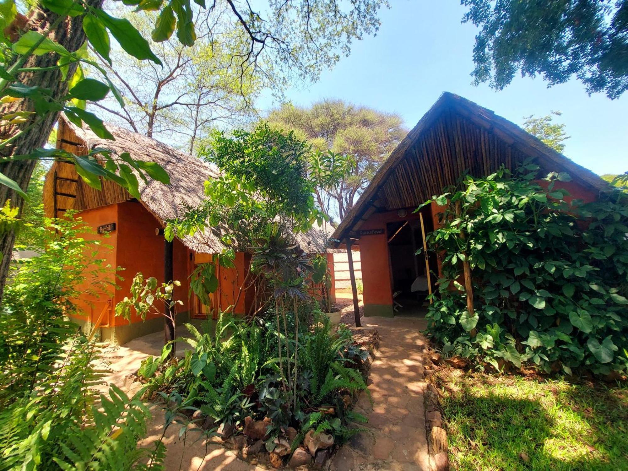 Victoria Falls Backpackers Lodge Exteriör bild